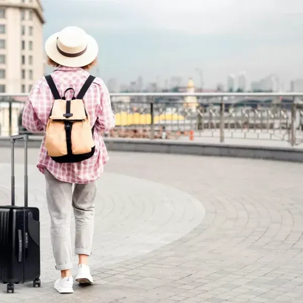 چمدان مسافرتی لِوِلو مدل RoamRide 22 - تصویر 7