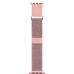 بند ساعت گرین لاین مدل GNMESH44 مناسب برای اپل واچ 42/44 میلی متری