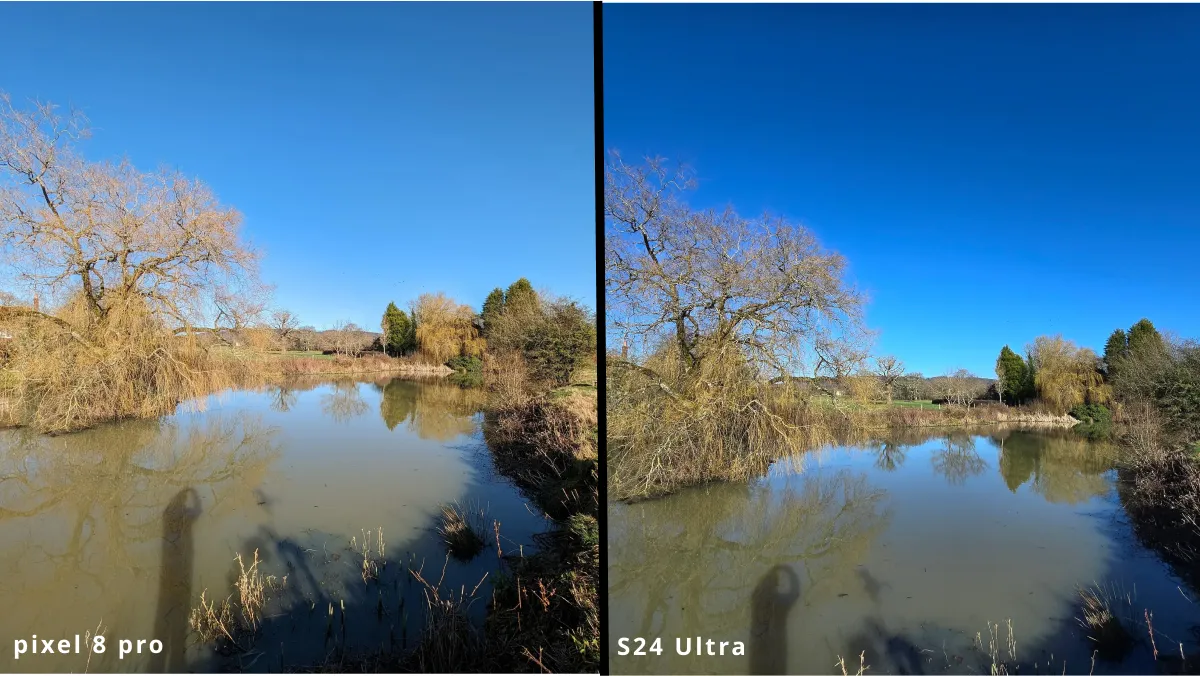 مقایسه دوربین اولترا واید S24 Ultra و Pixel 8 Pro 