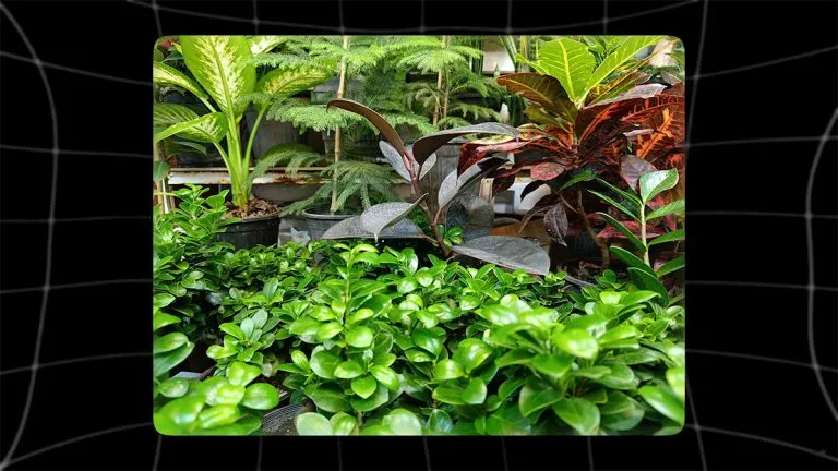 xiaomi-redmi-note-14-pro-4g-camera-test-1