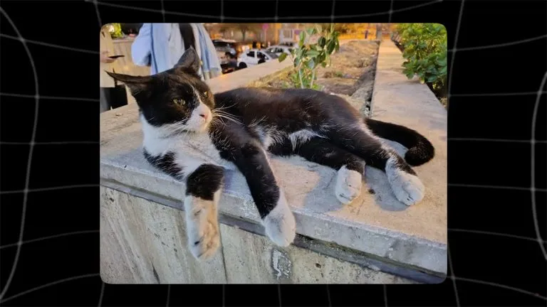 xiaomi-redmi-note-14-pro-4g-night-camera-test-2