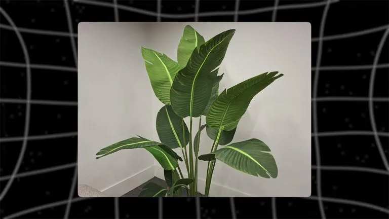 samsung-a56-camera-test-7