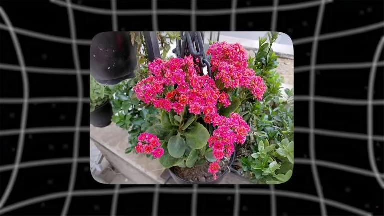 samsung-galaxy-a36-camera-test