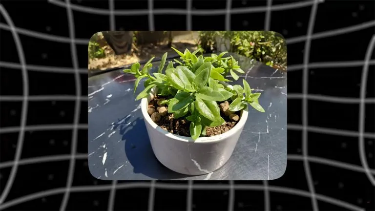 samsung-galaxy-a36-camera-test-3