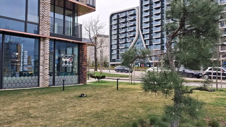 samsung-a36-vs-a26-camera-test-9