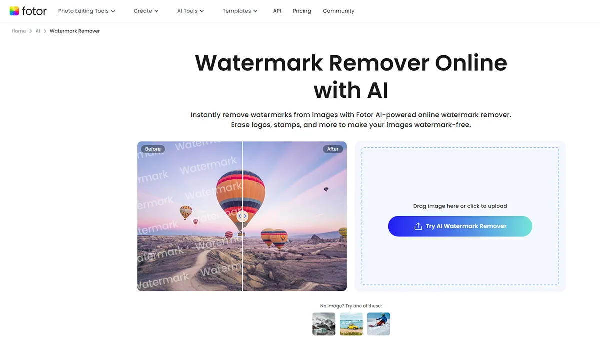 Fotor Watermark Remover